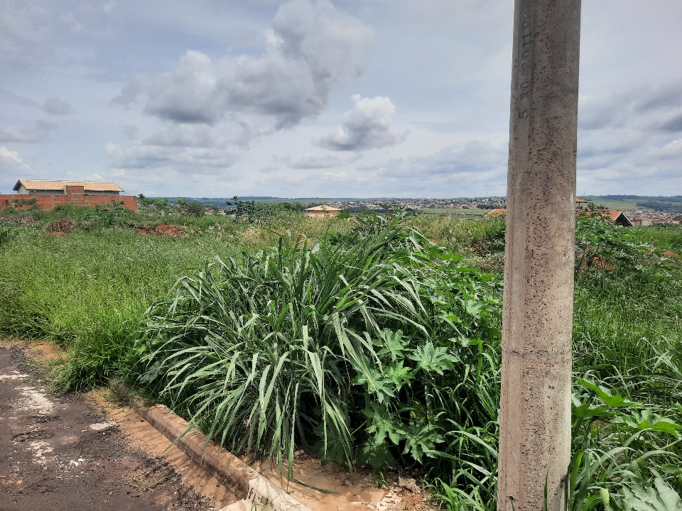 Lote em Orlândia, Jardim Timboré, Travessa Acará, 441, SP. Área: 500m2