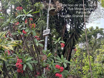 CONFORME MATRICULA BAIRRO VARGEM GRANDE PAULISTA — foto principal