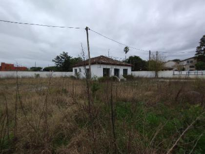 Prédio em Bagé, Tiarajú, Avenida General Mallet, 65, RS. Área: 100m2 Prédio em Bagé, Tiarajú, Avenida General Mallet, 65, RS. Área: 100m2